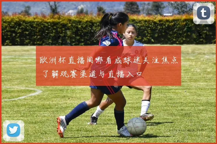 欧洲杯直播间哪看成球迷关注焦点 了解观赛渠道与直播入口