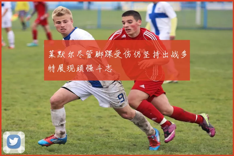 莱默尔尽管脚踝受伤仍坚持出战多特展现顽强斗志