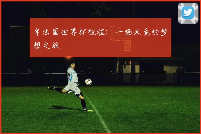 年法国世界杯征程:一场未竟的梦想之旅