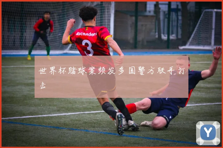 世界杯赌球案频发多国警方联手打击