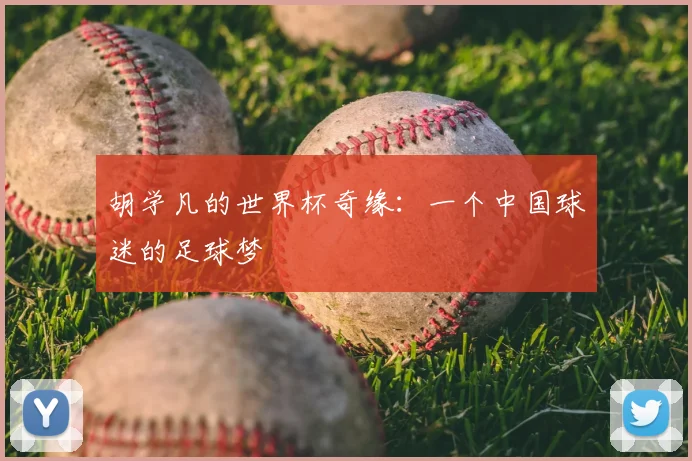 胡学凡的世界杯奇缘:一个中国球迷的足球梦