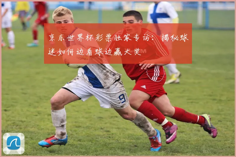 京东世界杯彩票独家专访：揭秘球迷如何边看球边赢大奖