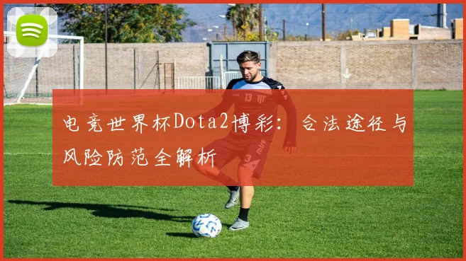 电竞世界杯Dota2博彩：合法途径与风险防范全解析