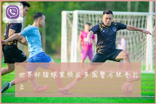 世界杯赌球案频发多国警方联手打击