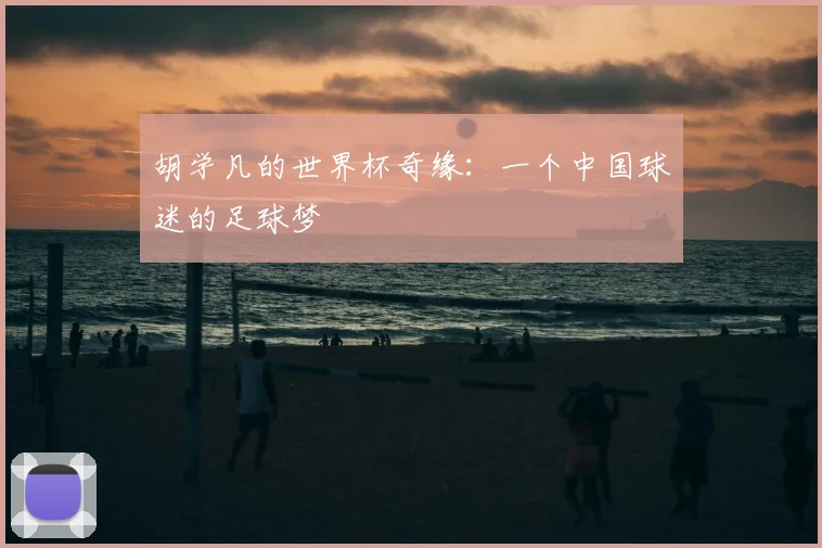 胡学凡的世界杯奇缘:一个中国球迷的足球梦