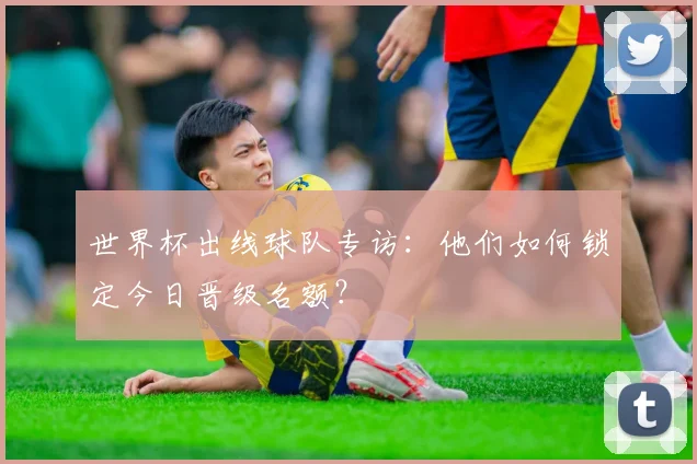 世界杯出线球队专访：他们如何锁定今日晋级名额？